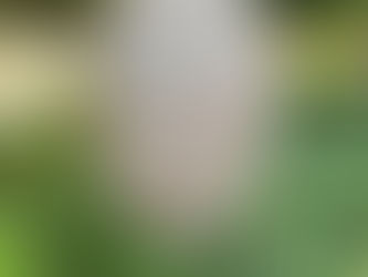 Meditating, Uncomfortably