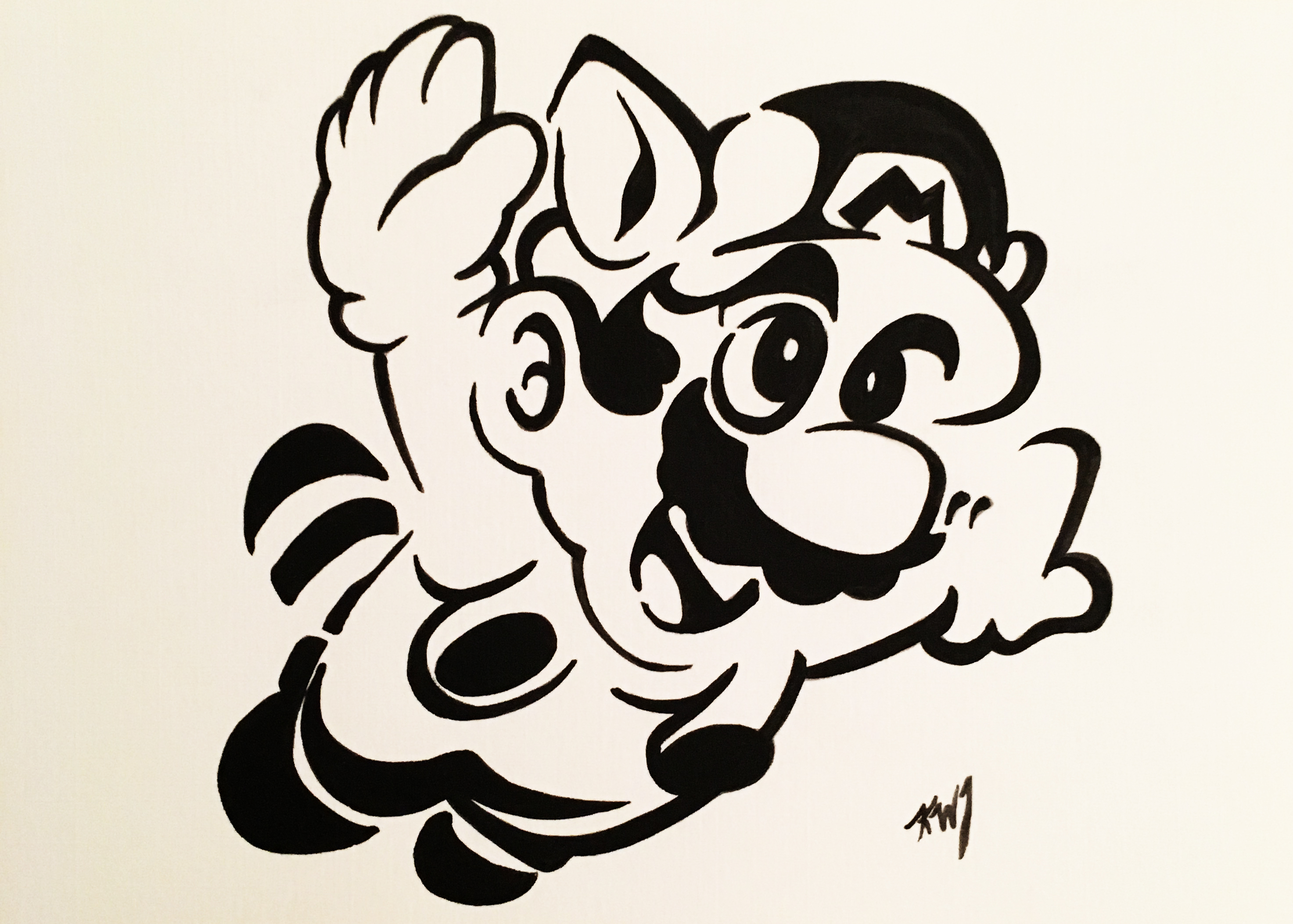 Mario Tanuki