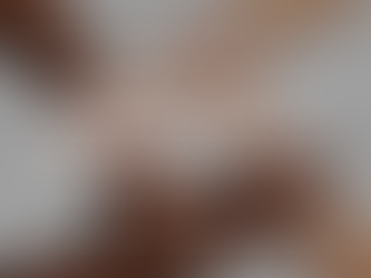 ¿Necesita Urgentemente una Traducción de Litigio?