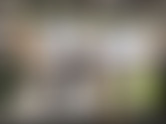 Hort Connections 2024 with Melanoma & Skin Cancer Advocacy Network (MSCAN) at Melbourne Convention and Exhibition Centre 🌿