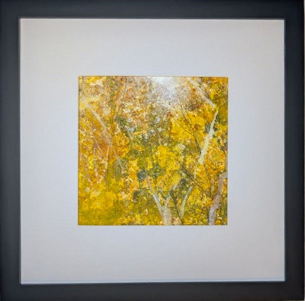 Thumbnail: Light in golden trees