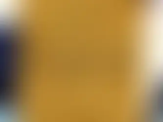 Professional Logo Design Packages in UAE