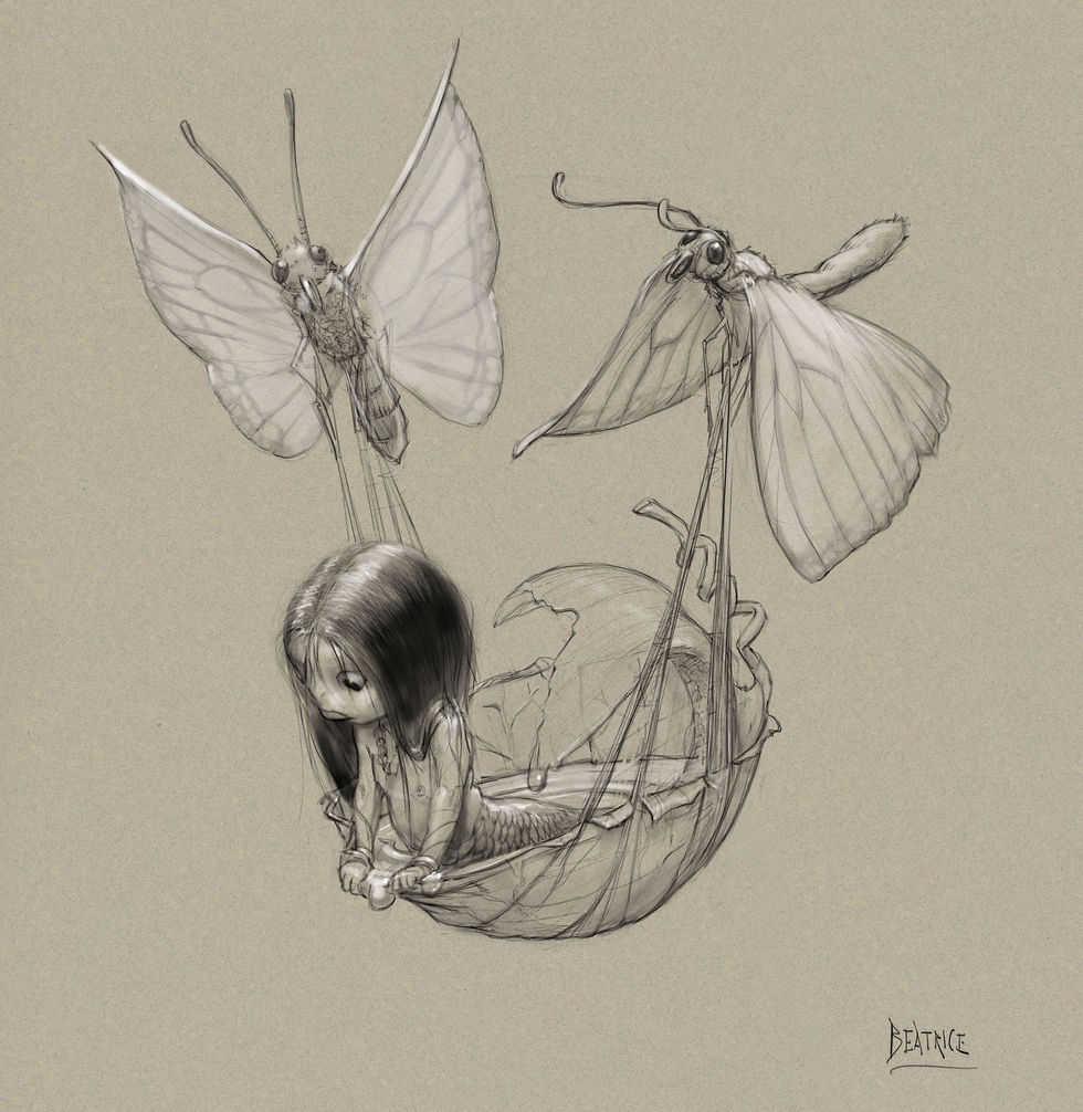 Borrowed Wings