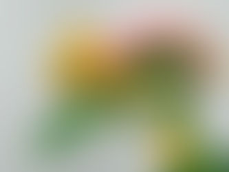 年末年始休業のお知らせ