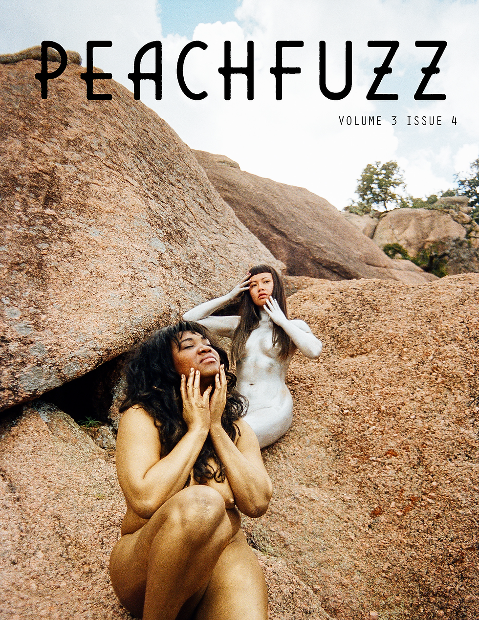 Volume 3 Issue 4