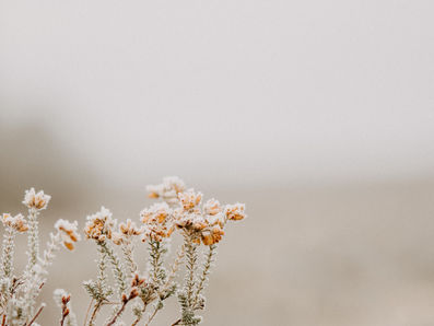 Pray in Acknowledgment of God