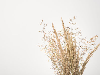 The Good News of Salvation