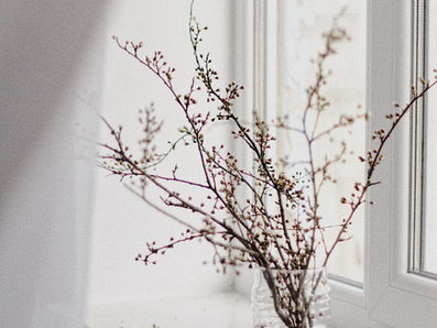 Pray for our hearts and minds to be pure and constantly striving towards Christ.