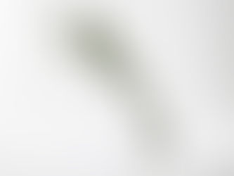 To remember our goal and purpose on this earth is to live for Him