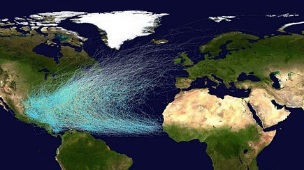 Image of tracks of hurricane paths in the Atlantic Ocean