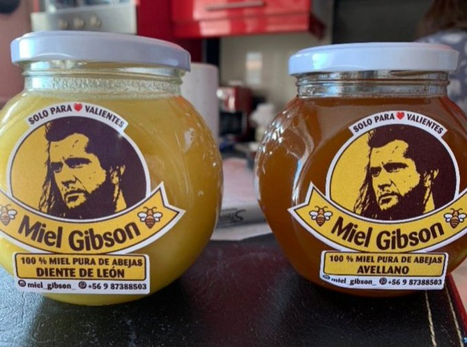 Fin de la historia: Mel Gibson baja la guardia y llega a un buen acuerdo con “Miel Gibson”