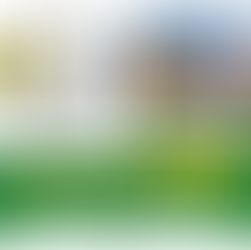 แฟนบอลจะต้องห้ามพลาด!! #greenx88 จัดให้ทายถูกรับฟรี 100บาท