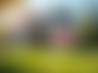 Understanding Transfer on Death Deeds for Real Estate: Benefits, Drawbacks, and Execution Process