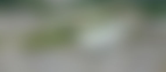 Spring Microingredient Trends: Calcium Chloride, Salt, Limestone & Magnesium Oxide