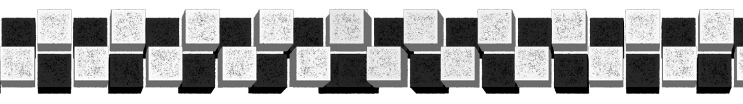 Long Checkered (1)_edited_edited.png