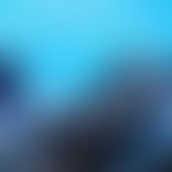 Universal Studio Resort, Sea World og ikke mindst besøg hos UFL.