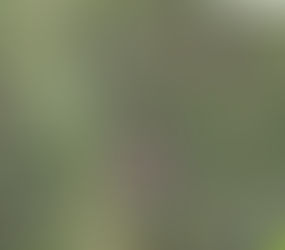 Anfield Road og “Liverpool Tour”