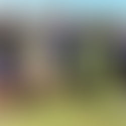 Liverpool Fútbol Club og Club Atlético Peñarol