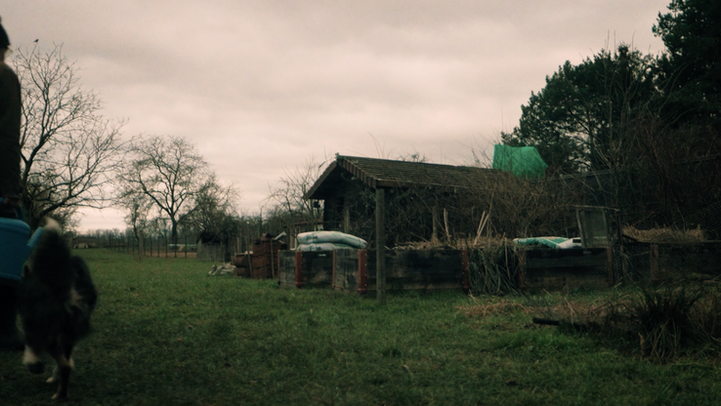 Homme et chien marchant vers cabane en bois, temps couvert.