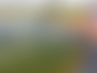 Pequenos produtores participam de projeto de criação de tilápia no PAD-DF