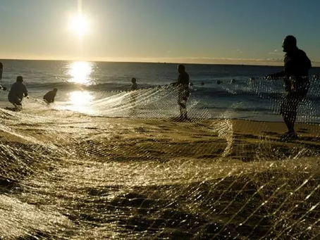 Pescadores artesanais apontam necessidade de nova política nacional que fortaleça gestão regional