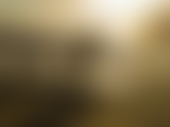 SC recorre ao TRF-4 para restabelecer pesca industrial da tainha e aumentar cota da artesanal