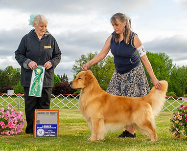 ScreenHunter 129.png