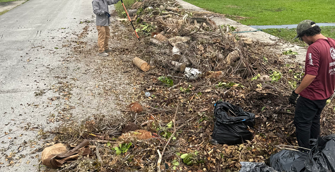 Green Ops Disposal cleaning up garden debris
