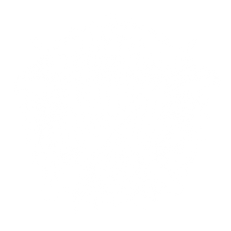 BoS Logo 2.png