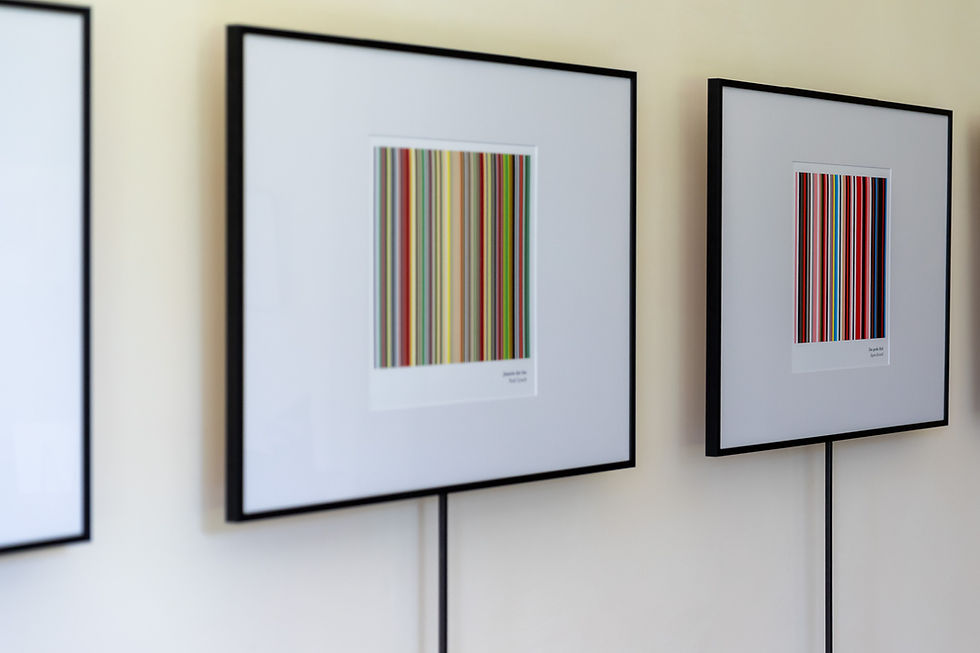 46_Aufbau_Ausstellung_colorits©Frauke_Kuehn.jpg