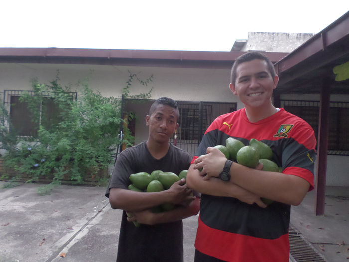 Baptisms and Avacados