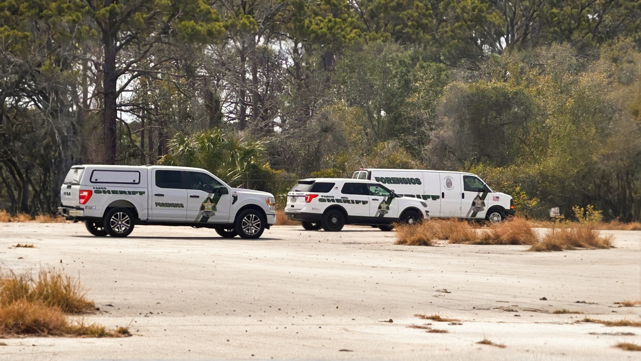 Pasco Deputies Investigate Fatal Stabbing in Hudson - Suspect Still At Large