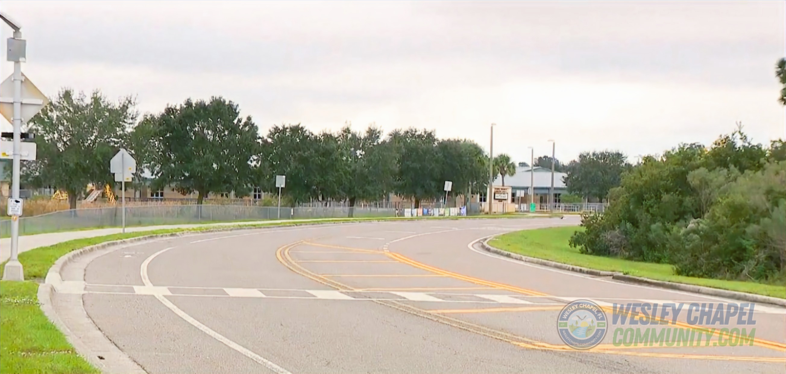 Wesley Chapel Teen Killed, Community is Tired of Reckless Drivers