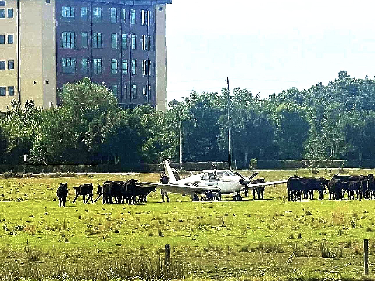 Small Plane Makes Emergency Landing in Wesley Chapel Field; No Injuries Reported