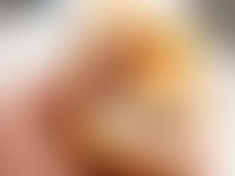 New Sandwich Spot Coming to Wesley Chapel at Wiregrass School Road and Mansfield Boulevard