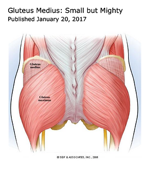 Screen Shot 2025-06-10 at 2.16.58 PM.png