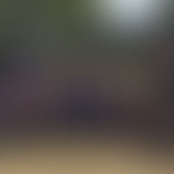 In pursuit of Premierships