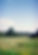 annie-spratt-uNxpbV-D8hI-unsplash.jpg
