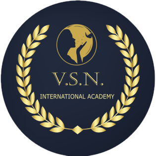 VSN International Logo.png