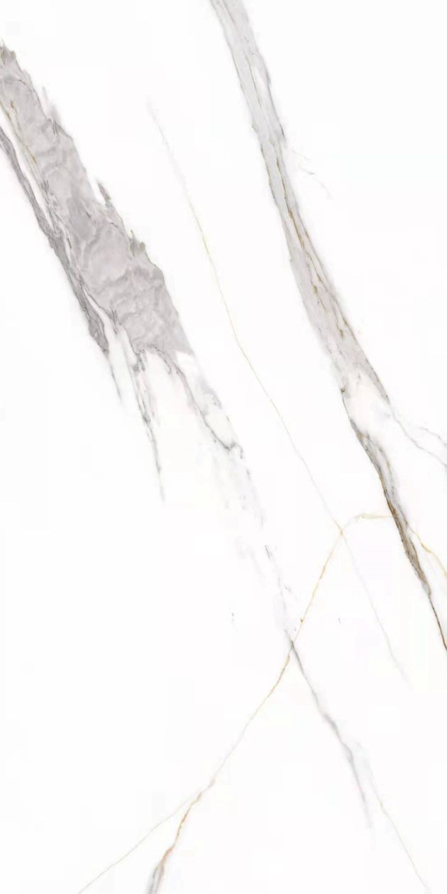 Decorative Wall Panels SPC by Seahawk