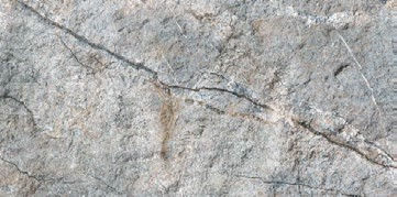 Flexible deco panels by Seahawk