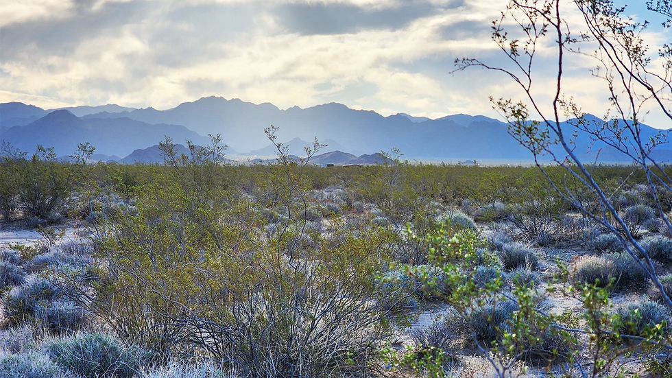 Thumbnail: 2.03-acres $8,900 ($359 Initial Payment) Mohave County, AZ northeast of Yucca