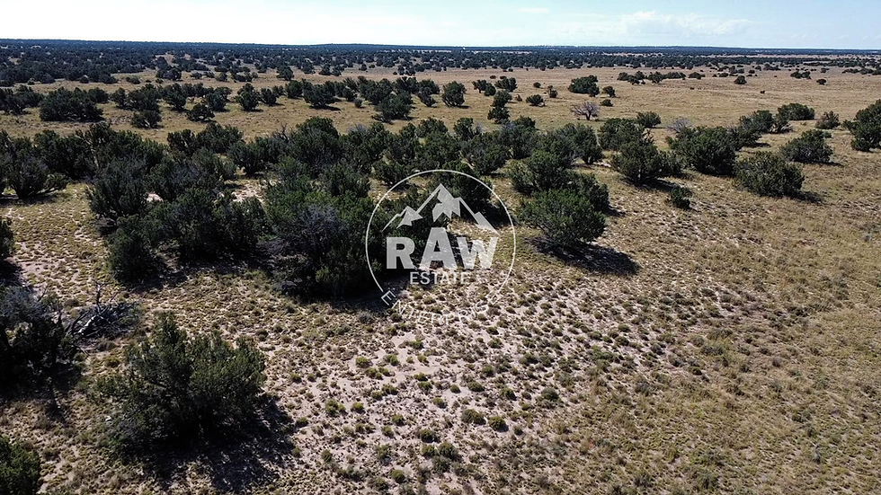 Thumbnail: 4.50-Acres $11,300 ($379 Initial Payment) - Apache County, Arizona near Holbrook