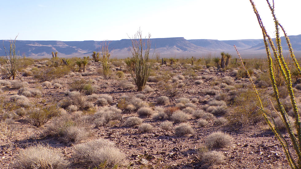 Thumbnail: 2.5-Acre $8,250 ($354 Initial Payment) Mohave County, Arizona Near Kingman)