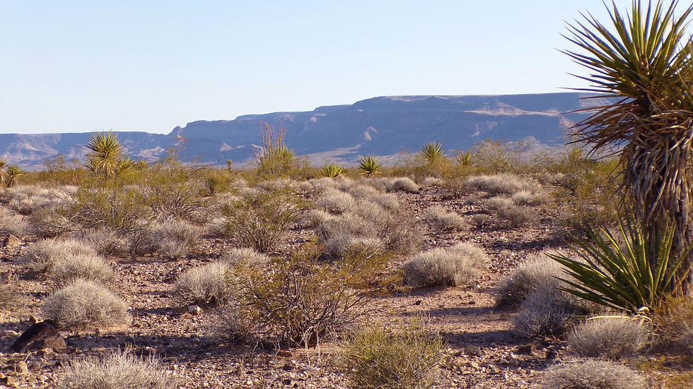 Thumbnail: 2.5-Acre $8,250 ($354 Initial Payment) Mohave County, Arizona Near Kingman)