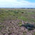 Thumbnail: 0.29-Acres $2,400 ($284 Initial Payment) - Navajo County, Arizona in Sun Valley