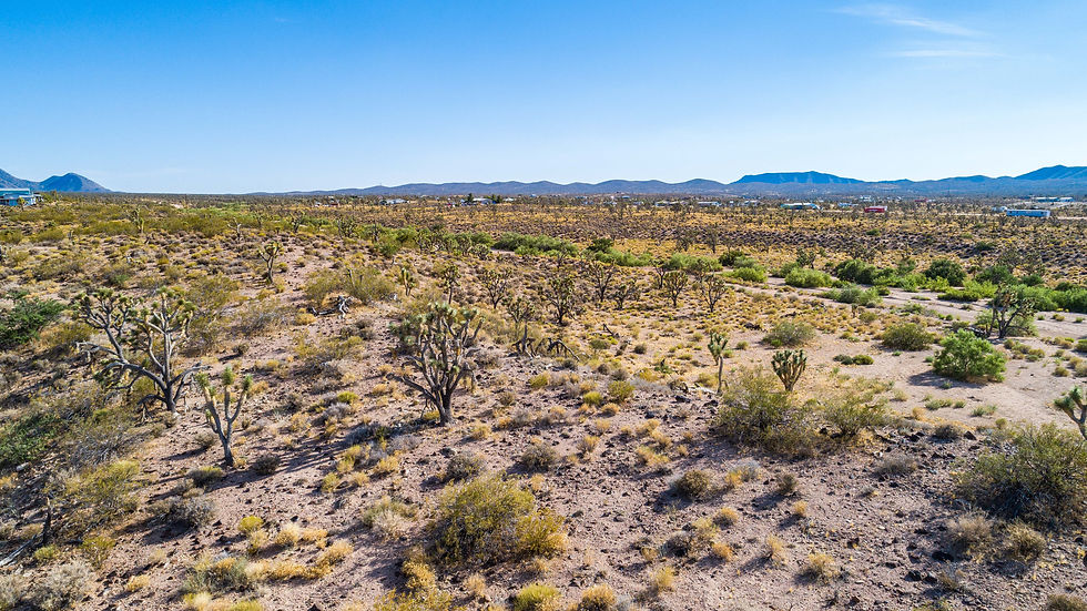 Thumbnail: 1.25-Acre $7,900 ($354 Initial Payment) - Mohave County, Arizona in S. Meadview