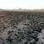 Thumbnail: 1.6-acres $10,600 ($359 Initial Payment) Pima County, AZ southwest of Tucson