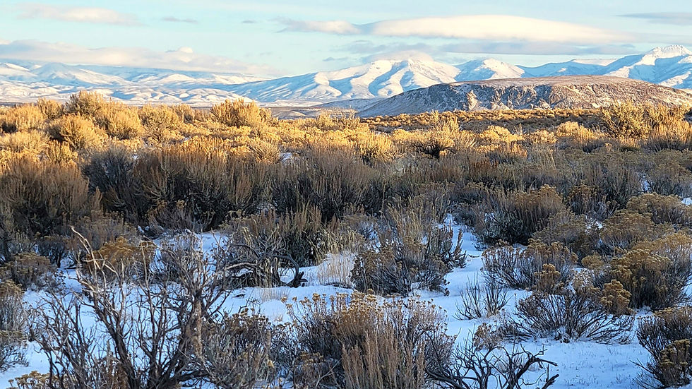 Thumbnail: 2.16-Acre $8,100 ($349 Initial Payment) - Elko County, Nevada Northeast of Elko