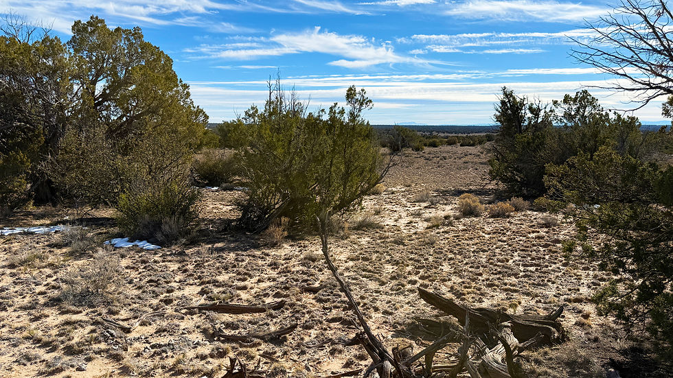 Thumbnail: 4.64-acre $11,000 ($389 Initial Payment) - Apache County, Arizona near Sanders